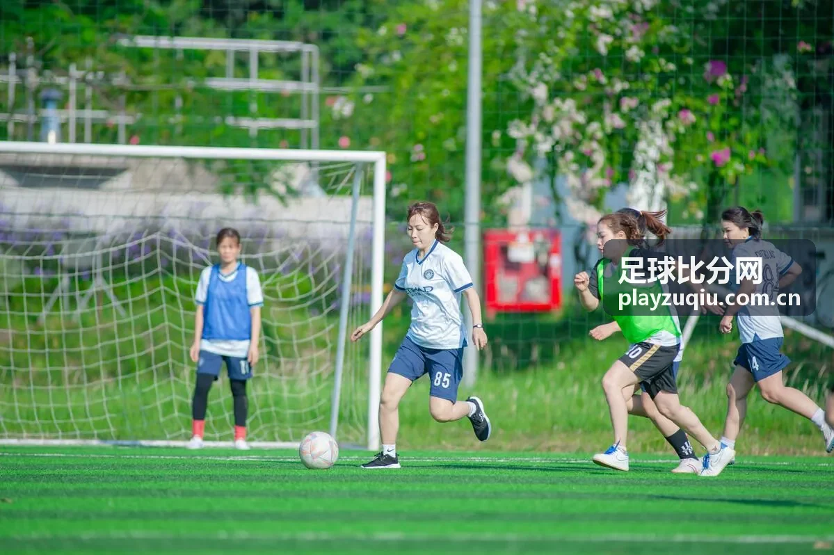 足球比分网法国国家队世界杯数据